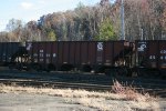 CR 497206